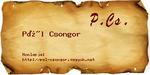 Pál Csongor névjegykártya