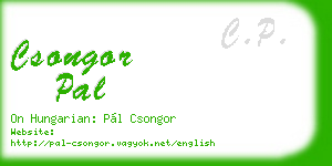 csongor pal business card
