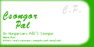 csongor pal business card